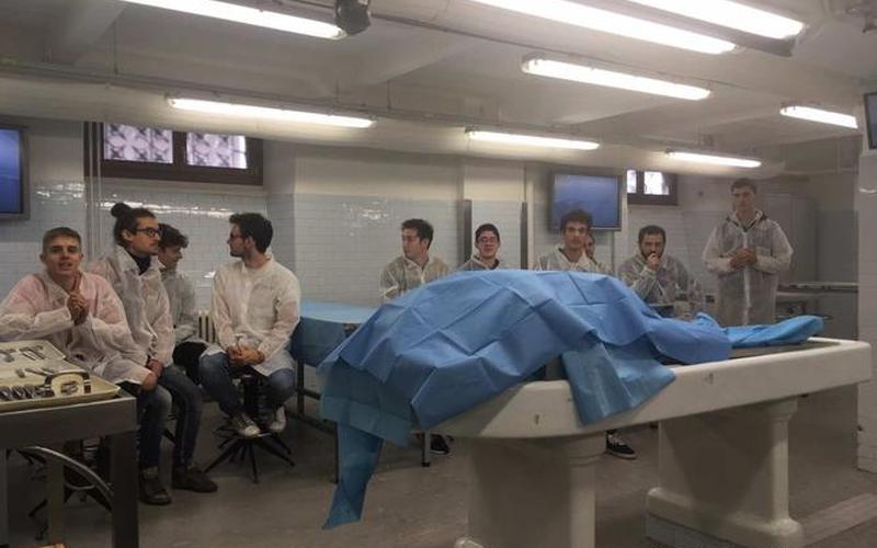 大体老师是什么意思-第1张图片-波音达百科