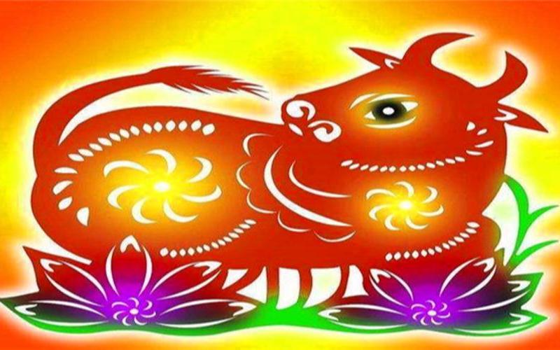 野外风光什么生肖打一生肖-第1张图片-波音达百科