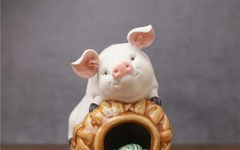 猪笼入水什么意思-第1张图片-波音达百科