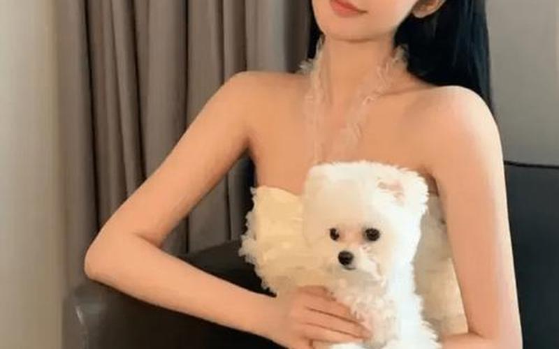 都美竹吴亦凡事件来龙去脉-第1张图片-波音达百科