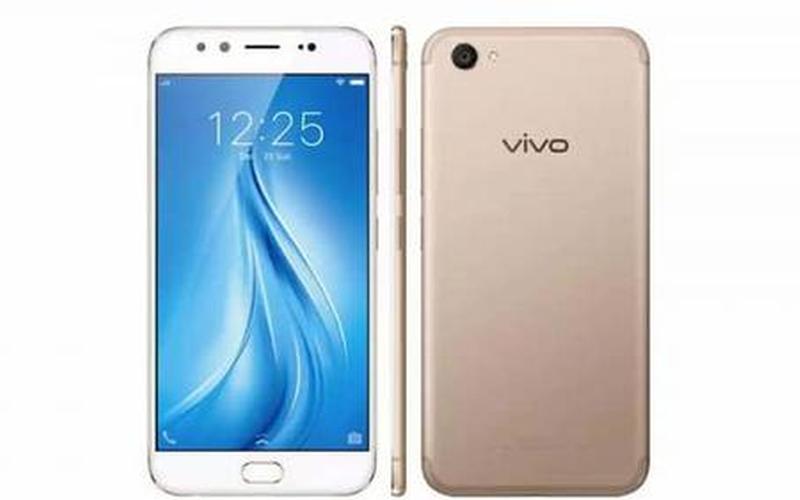 dualcamera是vivo什么手机-第1张图片-波音达百科