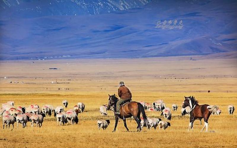 牧羊人是什么意思-第1张图片-波音达百科