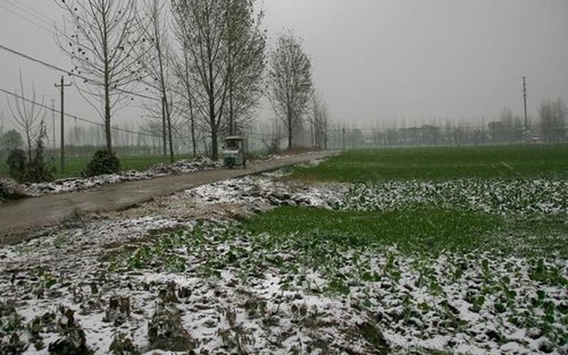 正月雷打雪有什么说法-第1张图片-波音达手游百科