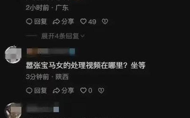 宝马女发飙骂人遭灭门-第1张图片-波音达百科