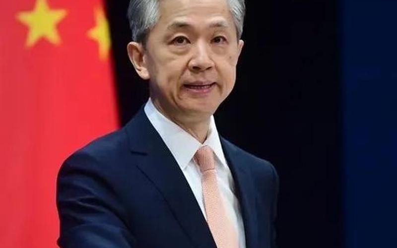 汪文斌个人详细资料-第1张图片-波音达百科