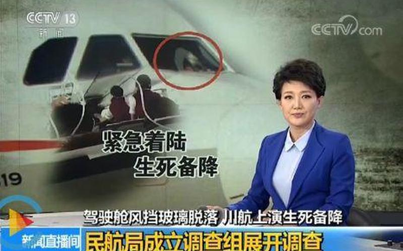 四川8633真实事件副机长被辞退-第1张图片-波音达百科