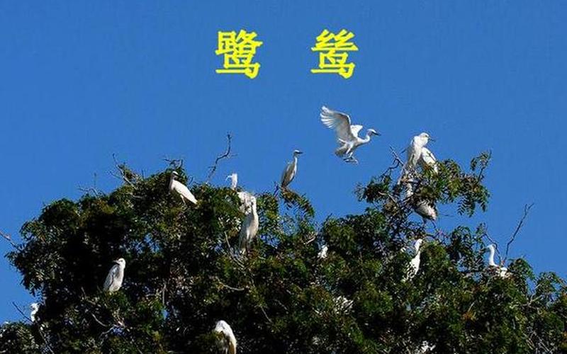 阴阴夏木啭黄鹂的上一句是什么-第1张图片-波音达百科