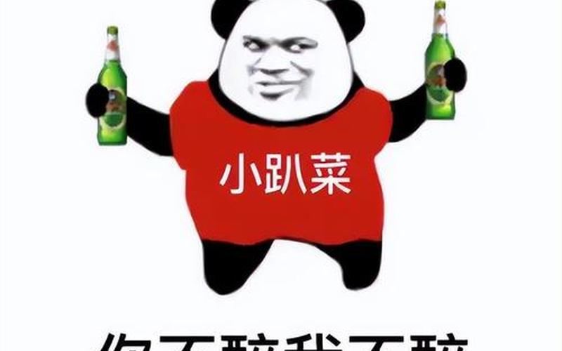 小趴菜是什么意思-第1张图片-波音达百科