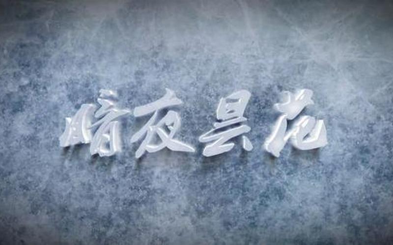 普法栏目剧暗夜昙花-第1张图片-波音达百科