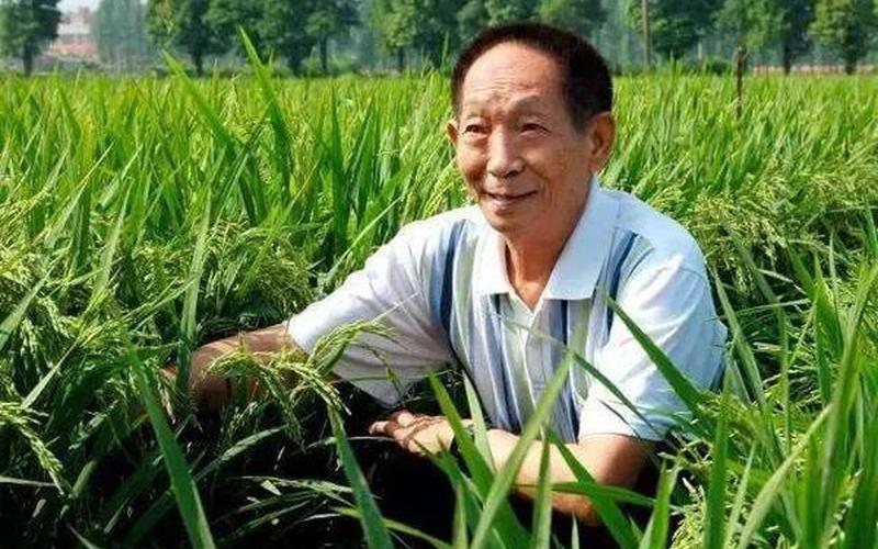 袁隆平是哪里人？什么身份？-第1张图片-波音达手游百科
