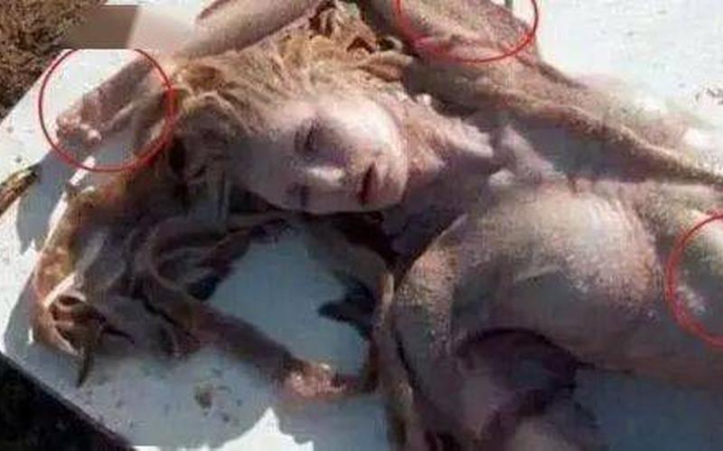 下水道的美人鱼恐怖图片敢看吗-第1张图片-波音达百科