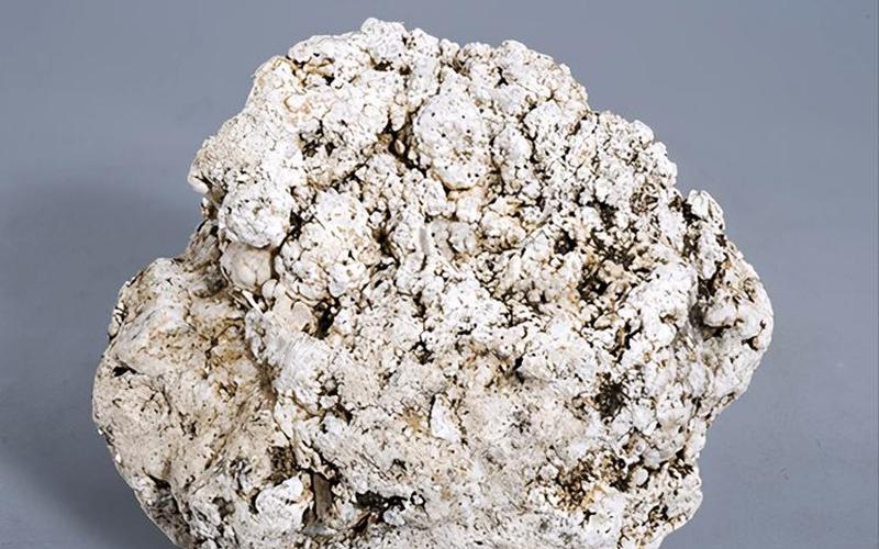 龙涎香是什么动物的分泌物-第1张图片-波音达百科