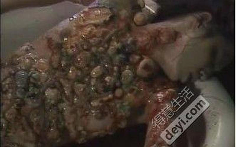 地下水道里的美人鱼-第1张图片-波音达百科