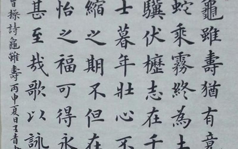 曹操的诗以什么见称-第1张图片-波音达百科