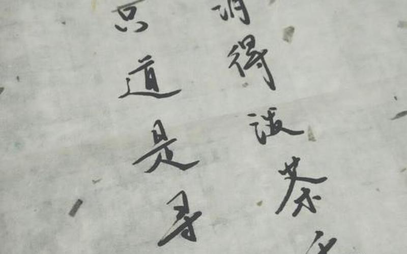 当时只道是寻常柴丝言-第1张图片-波音达百科