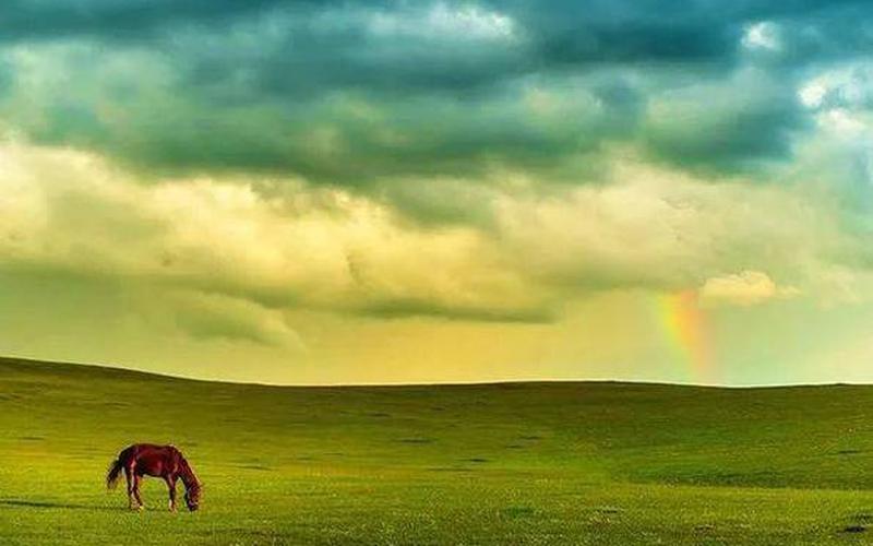 umbrella歌词翻译-第1张图片-波音达百科