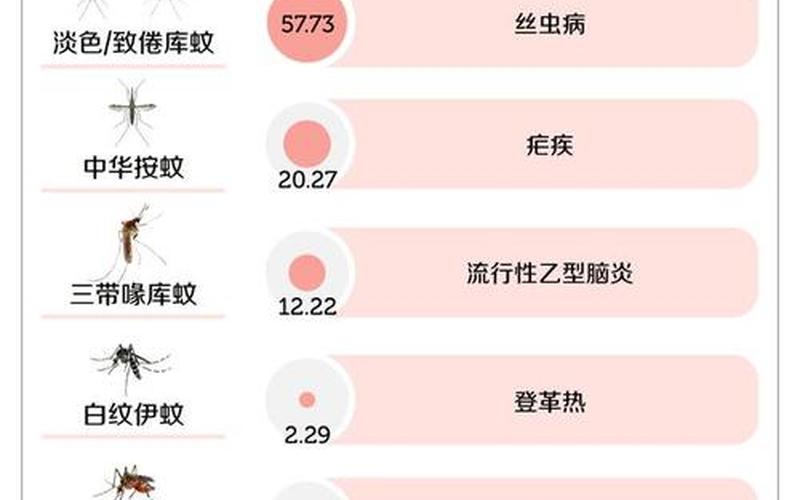 之一只蚊子的来历-第1张图片-波音达百科