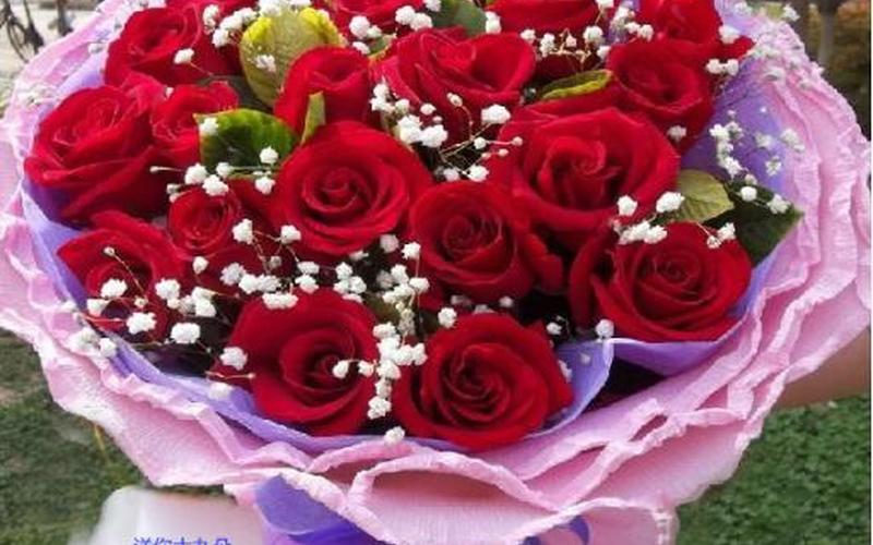 我会送你红色玫瑰-第1张图片-波音达百科