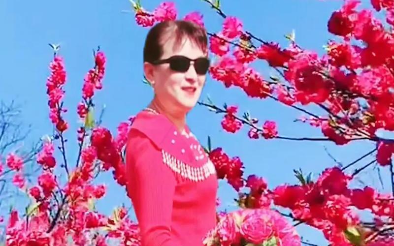 祝我老妈貌美如花歌曲名字-第1张图片-波音达百科