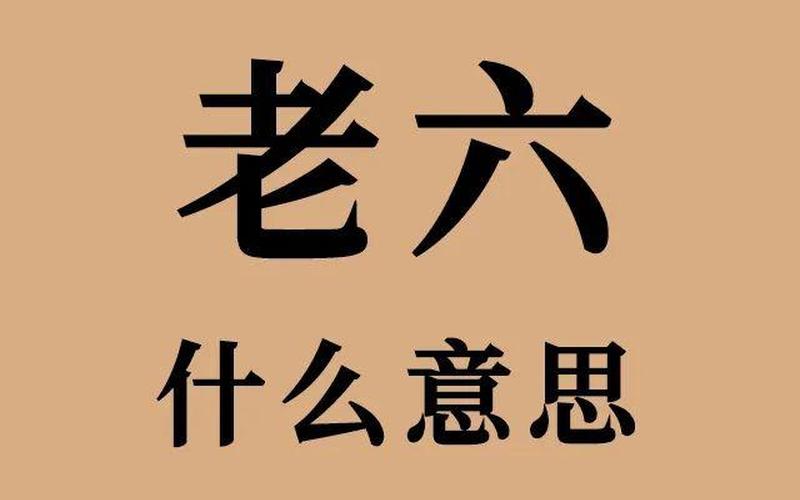 老六这个梗出自哪里-第1张图片-波音达百科