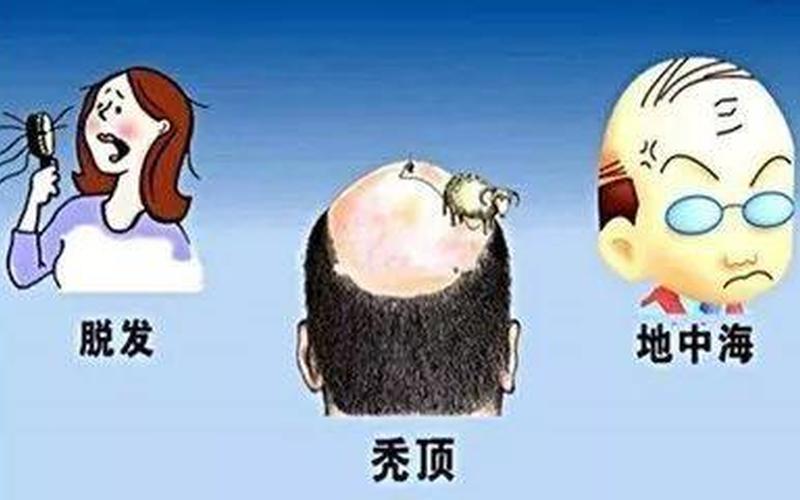 一个成年人每天掉多少根头发属于正常-第1张图片-波音达手游百科
