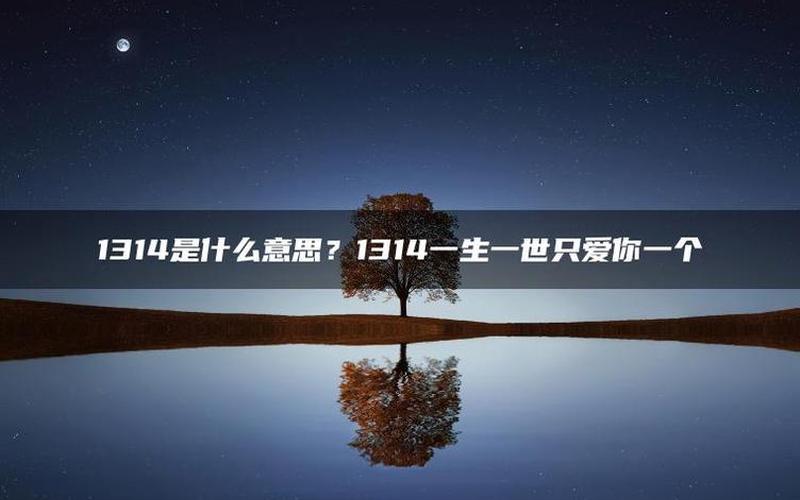 1314是什么意思啊-第1张图片-波音达手游百科