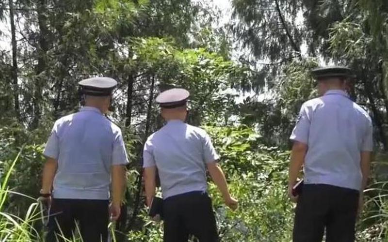 最近火箭军抓捕了多少人-第1张图片-波音达百科