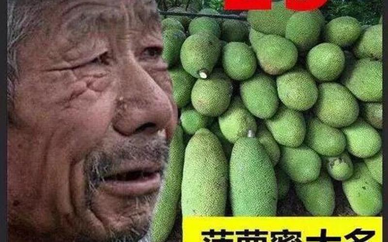 滞销宝贝怎么处理-第1张图片-波音达百科