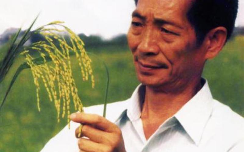 袁隆平的两个梦想是什么-第1张图片-波音达手游百科