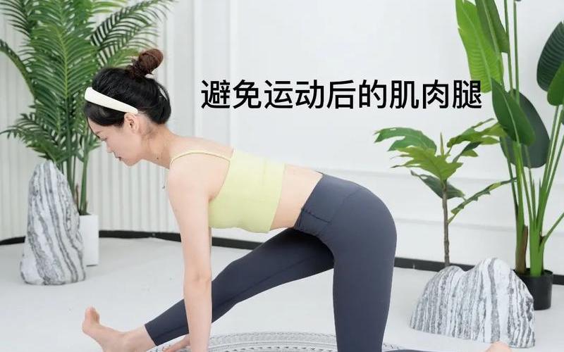 运动过后拉伸蚂蚁庄园-第1张图片-波音达百科 运动过后拉伸蚂蚁庄园-第1张图片-波音达百科