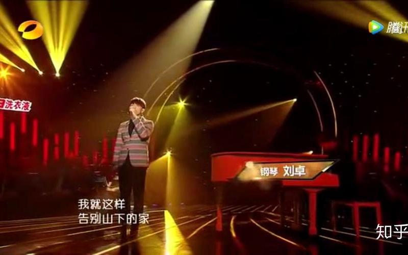 我是歌手杨宗纬流浪记-第1张图片-波音达百科