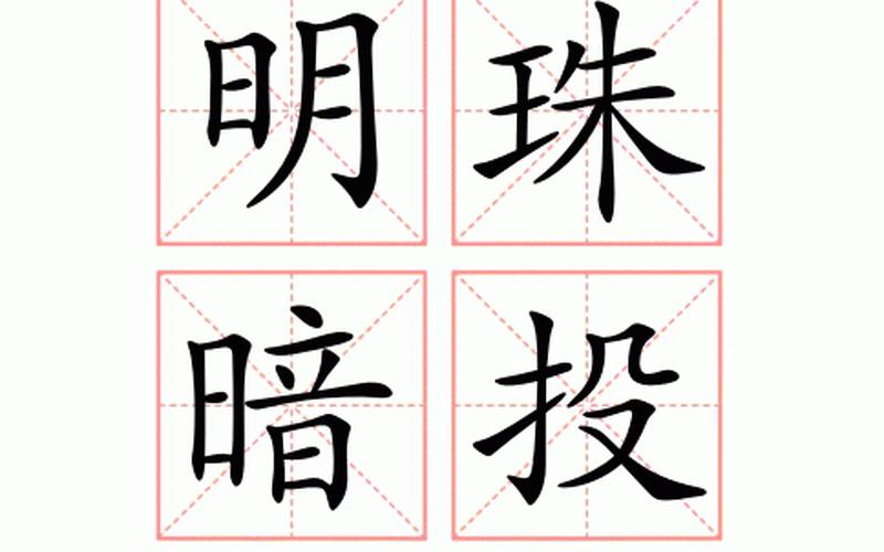 弃暗投明什么意思-第1张图片-波音达百科