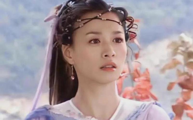 张庭演过的电视剧-第1张图片-波音达百科