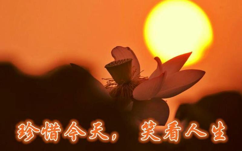 笑看人生什么意思-第1张图片-波音达百科