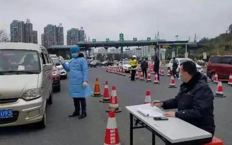 眉山疫情最新数据消息今天封城-第1张图片-波音达手游百科