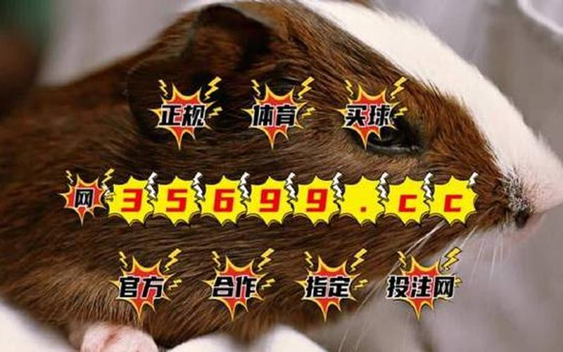 精准一肖100%准确精准-第1张图片-波音达百科