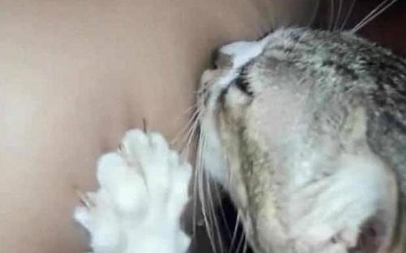 我睡着了他竟然吃我下面-第1张图片-波音达百科