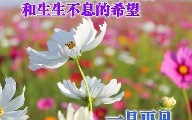 一月再见二月你好心语-第1张图片-波音达百科