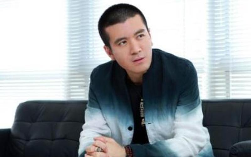 杨子个人资料简介及家世-第1张图片-波音达百科