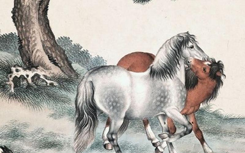 鹏程万里是什么生肖-第1张图片-波音达百科