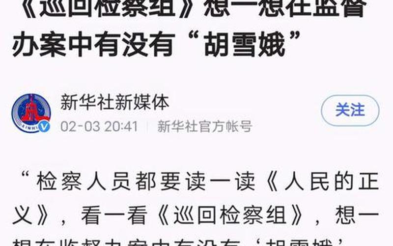 巡回检察组哪个台几点播出-第1张图片-波音达百科