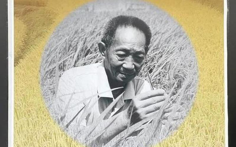 禾下乘凉下一句是什么-第1张图片-波音达百科