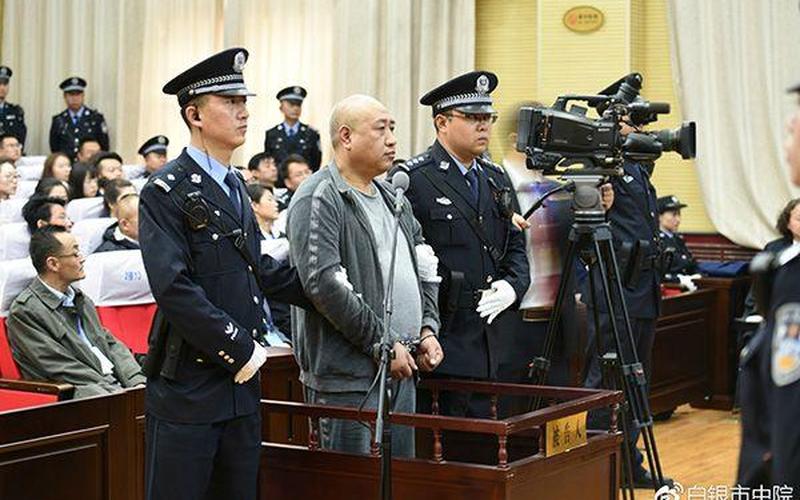 为什么说白银案是顶包-第1张图片-波音达百科