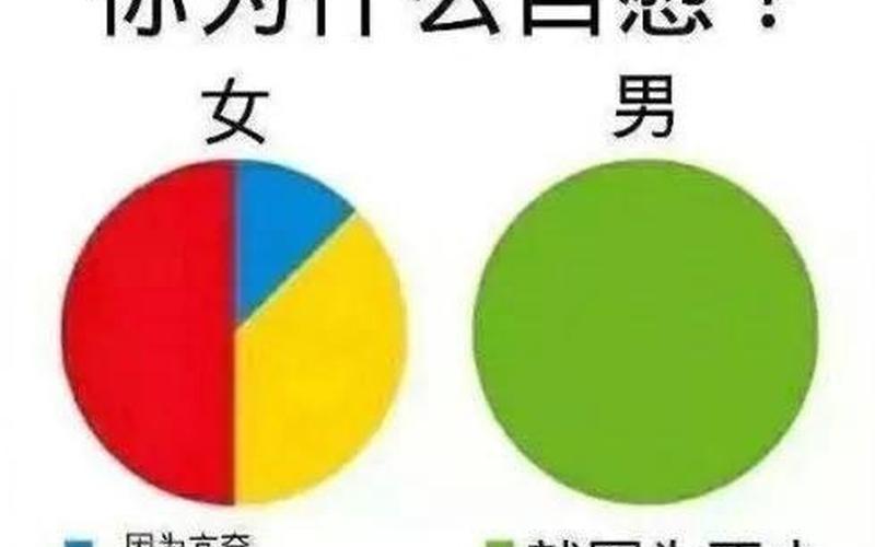 飞机女是什么意思-第1张图片-波音达百科