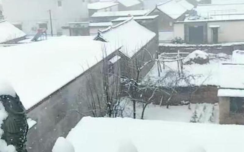河南下雪了吗2020今天-第1张图片-波音达手游百科