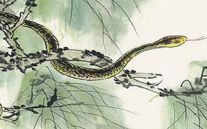 西风落叶指什么生肖-第1张图片-波音达百科