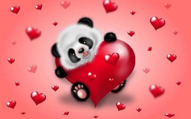 世界仅剩一只的红色熊猫-第1张图片-波音达百科