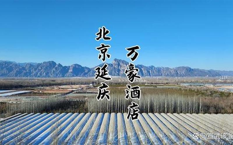 大同疫情最新消息今天封城了-第1张图片-波音达百科