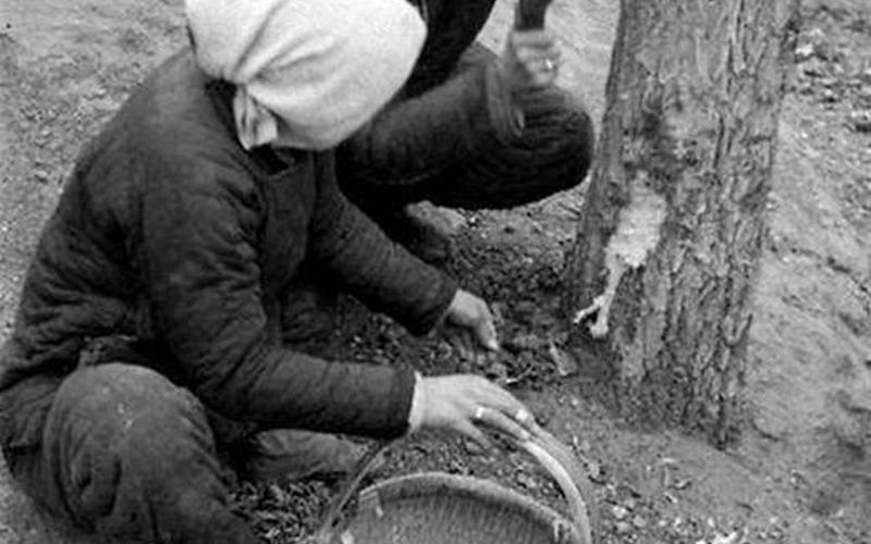 为什么没人敢拍1959大饥荒-第1张图片-波音达百科