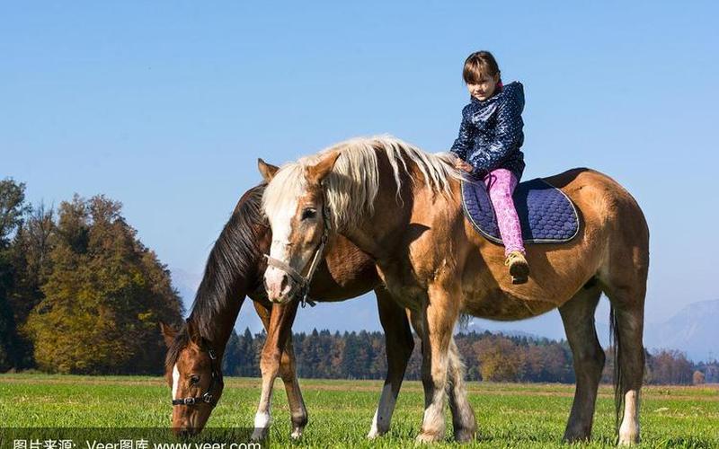 坐在有木棒的马鞍上难受-第1张图片-波音达百科